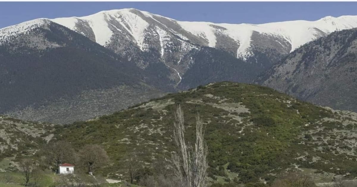 Ο Σύλλογος Ελλήνων Ορειβατών (Σ.Ε.Ο.) Κοζάνης διοργανώνει την Κυριακή 7.4.2024 εξόρμηση στο όρος Τίταρο (κορυφή μικρό Φλάμπουρο) με αφετηρία και τερματισμό το Λιβάδι Ελασσόνας.