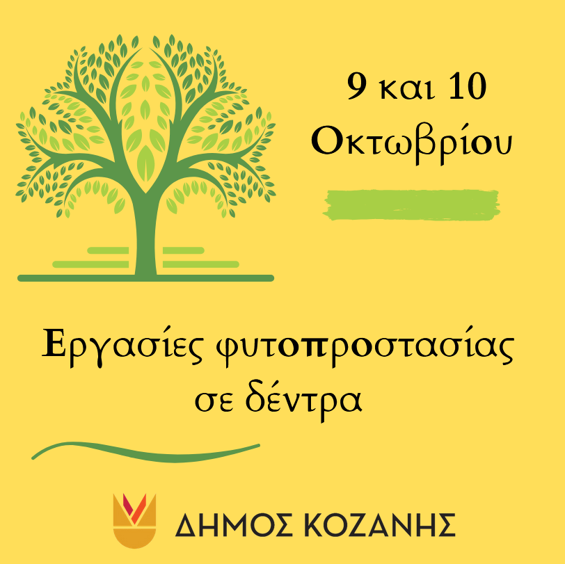 Δήμος Κοζάνης: Εργασίες φυτοπροστασίας σε δέντρα