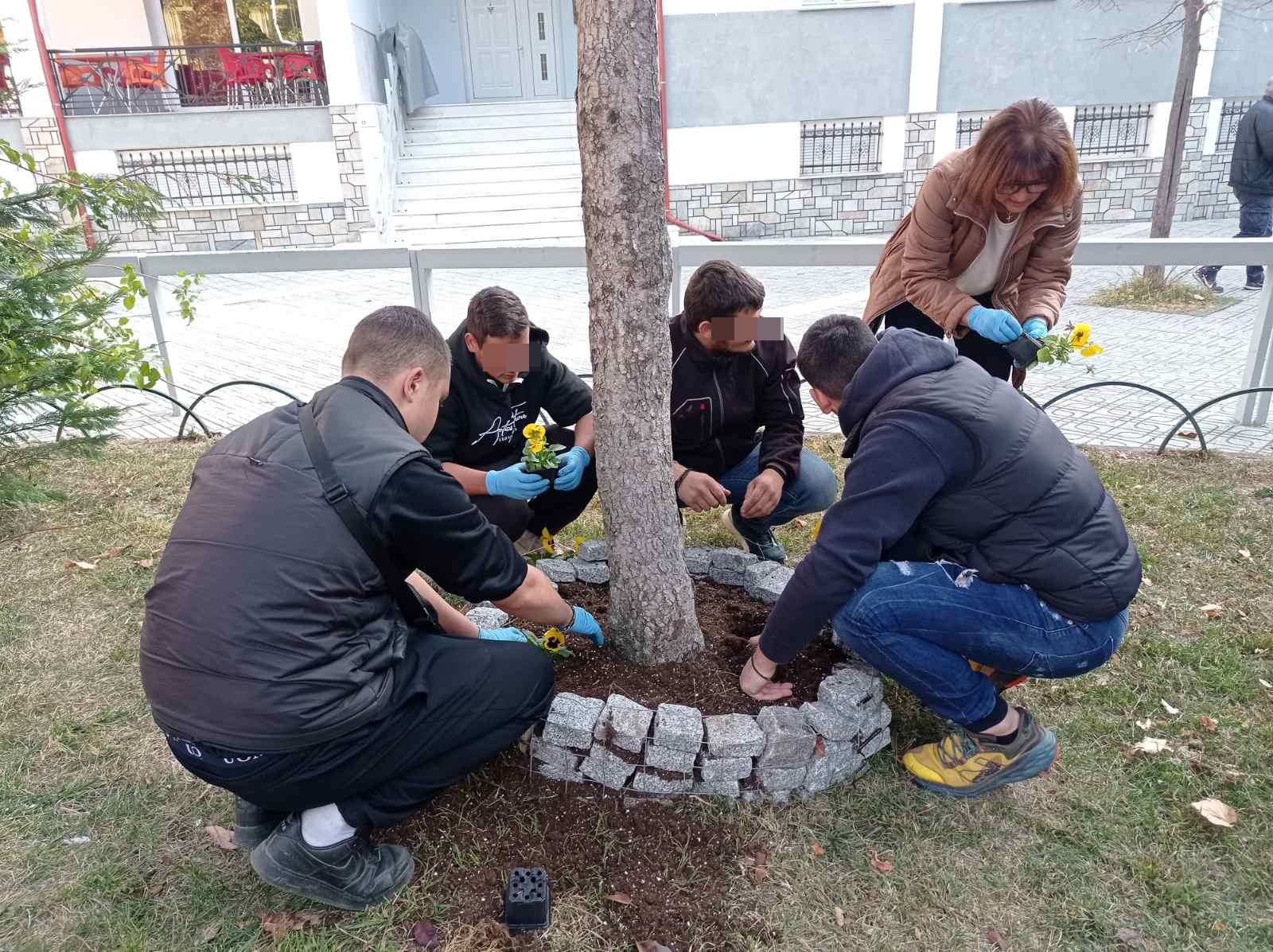 Συνεχίζεται ο δεύτερος κύκλος φύτευσης ανθοφόρων φυτών στην πόλη της Φλώρινας