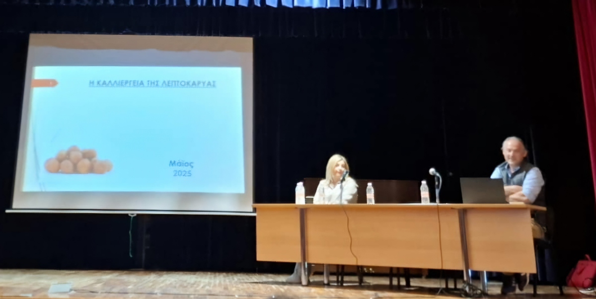 Πραγματοποιήθηκε η εσπερίδα με θέμα: «Βιωσιμότητα και προοπτικές στην παραγωγή φουντουκιών στο Δήμο Βοΐου». Βίντεο