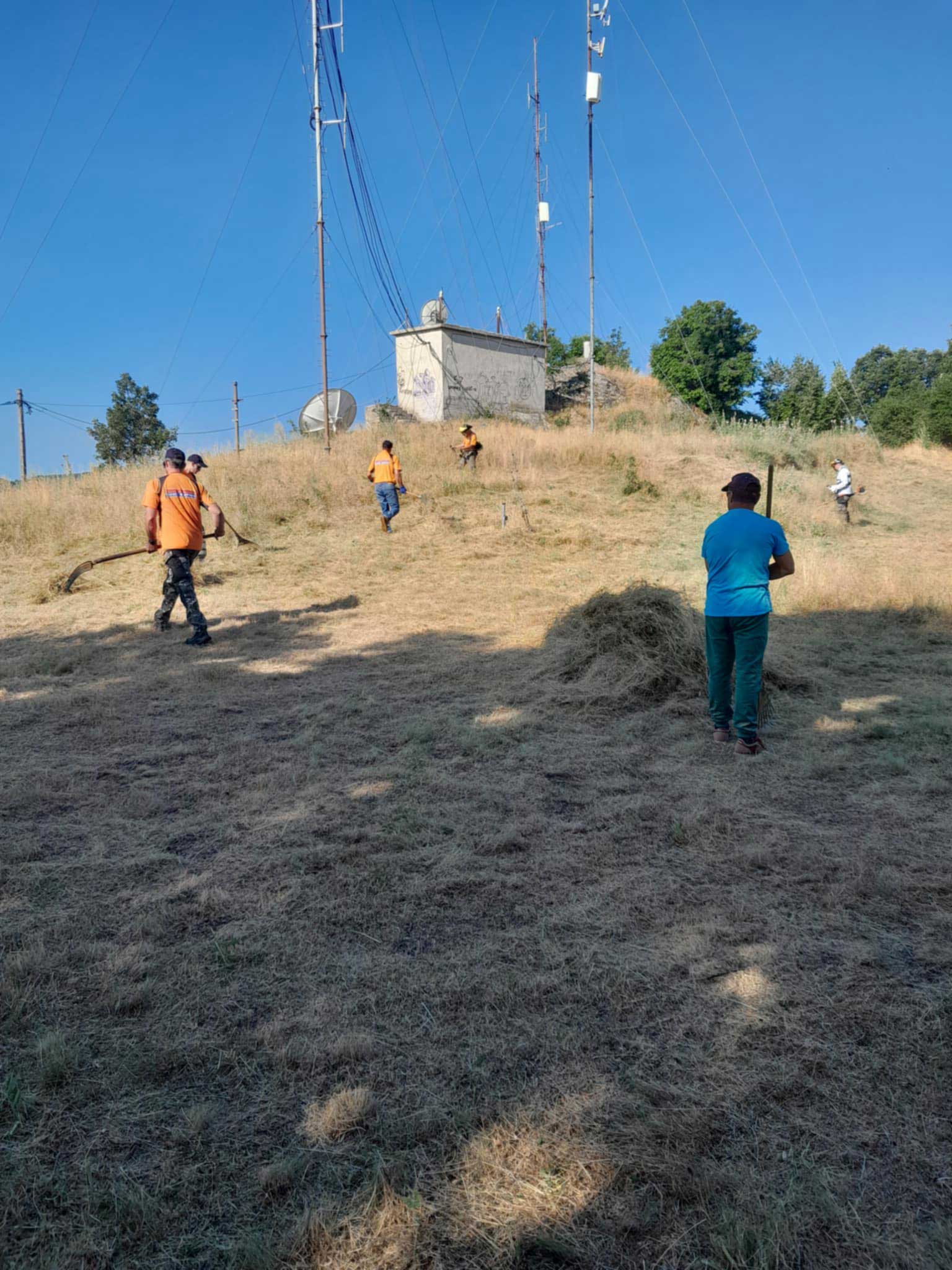Καθαρισμός κορυφής και κεντρικού δασικού δικτύου του λόφου Αγίου Παντελεήμονα από αυτοφυή βλάστηση